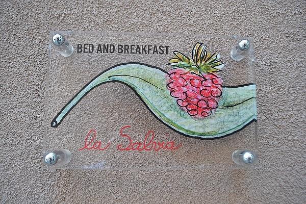 La Salvia E Il Lampone Bed & Breakfast Pove del Grappa Екстериор снимка