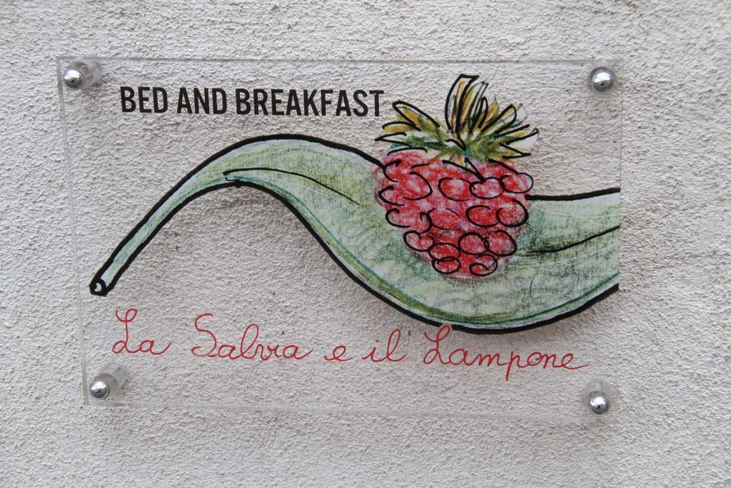 La Salvia E Il Lampone Bed & Breakfast Pove del Grappa Екстериор снимка